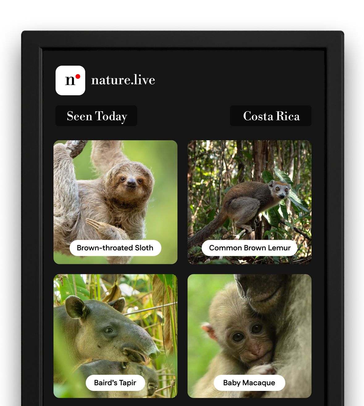 Wildlife collection grid