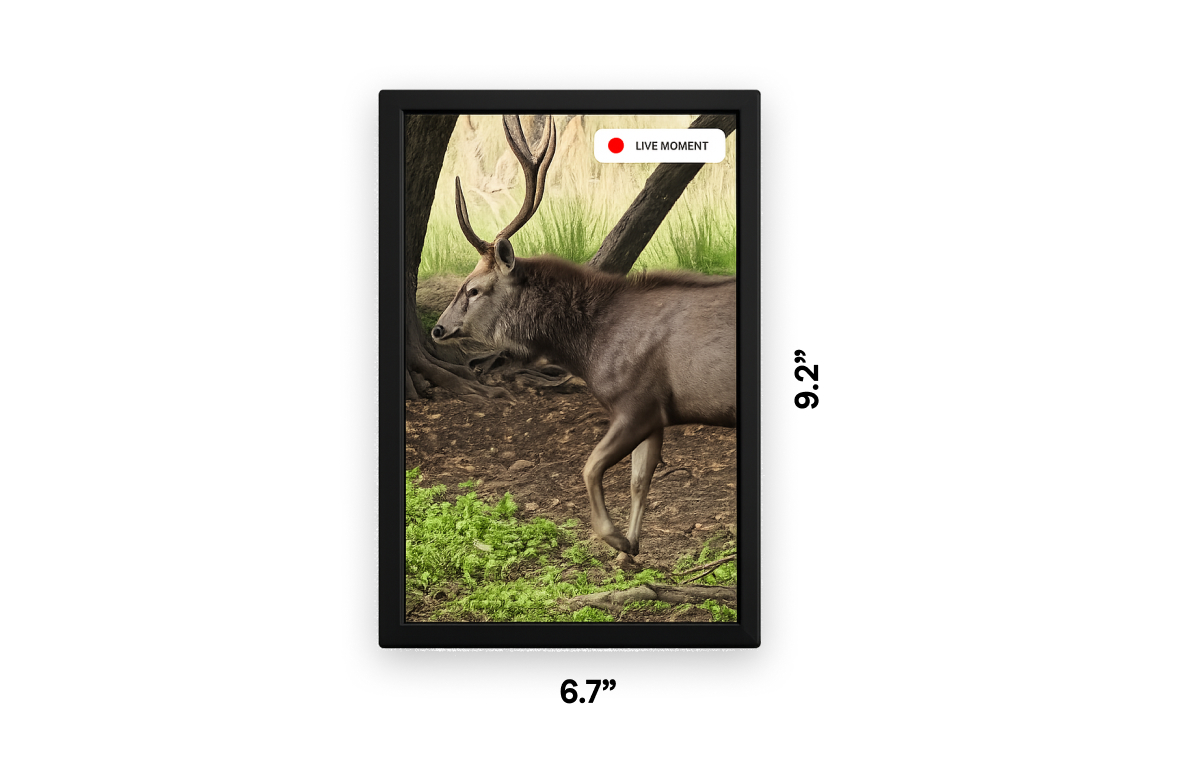 Portal mini dimensions