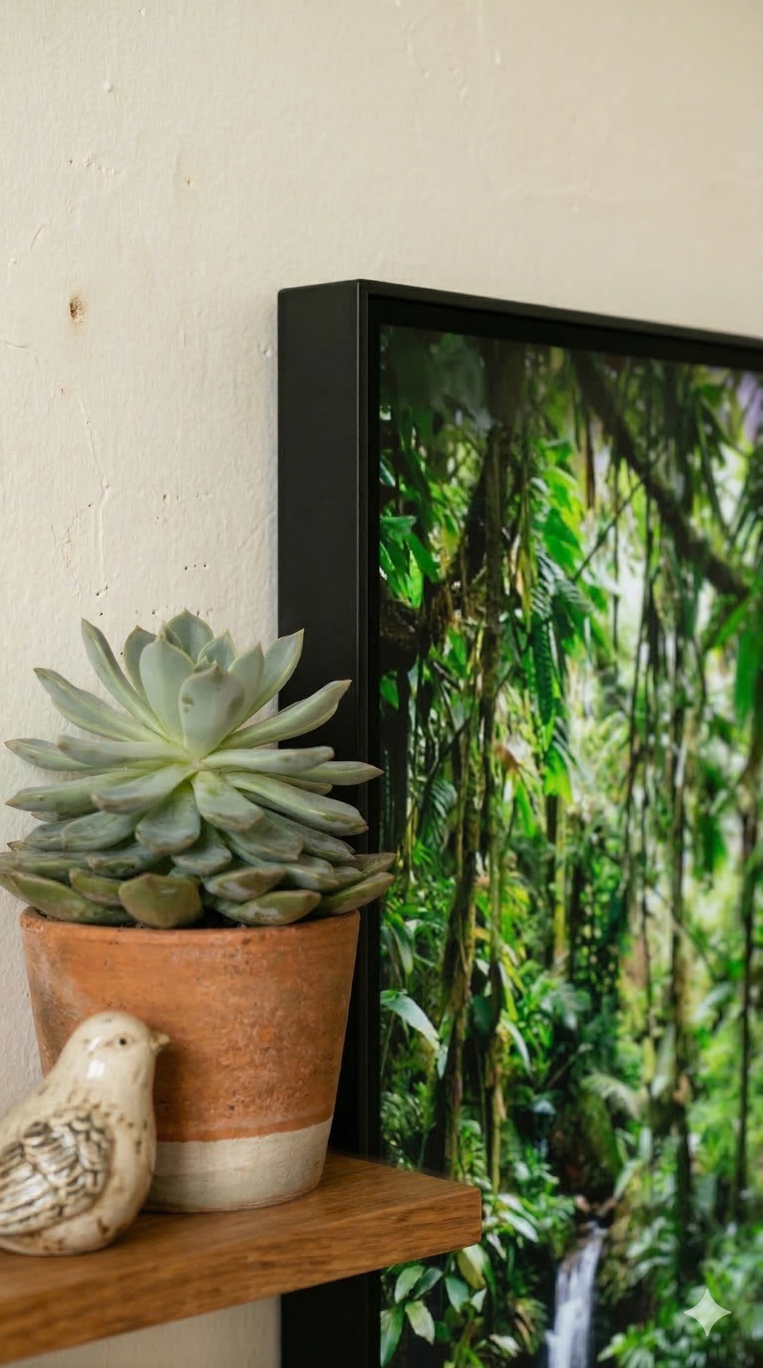 Side view of nature.live frame