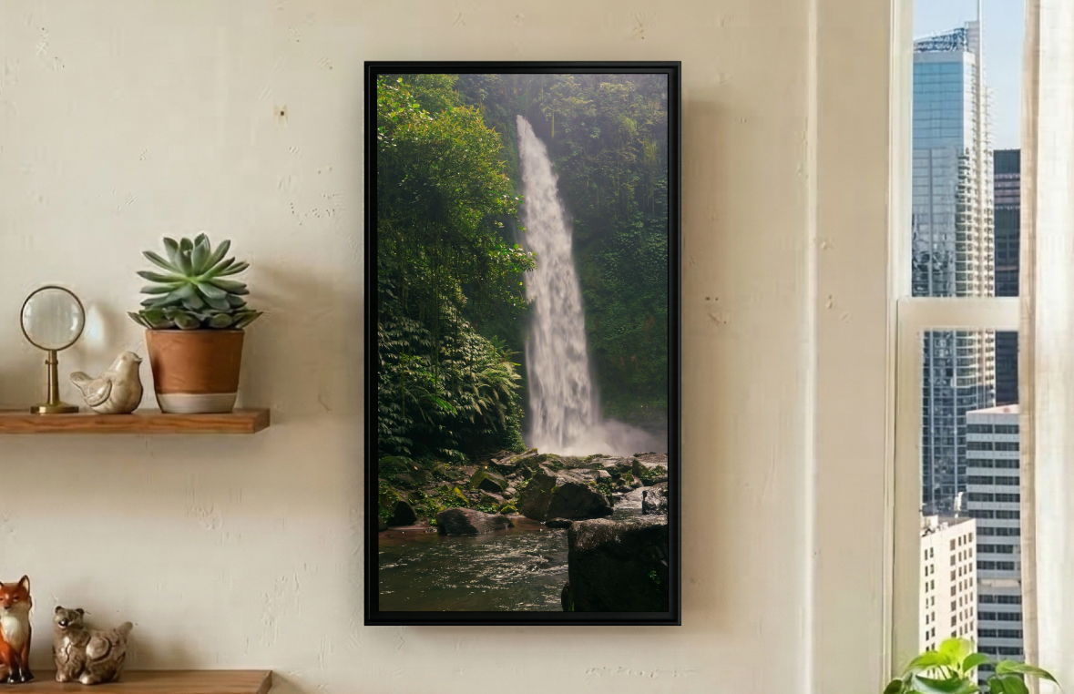 nature.live frame in a home